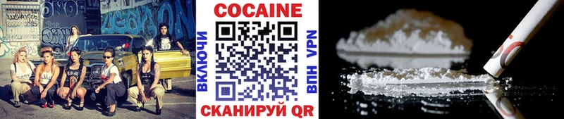 Купить закладки  Ковдор  COCAIN 99% 