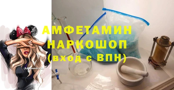 скорость Новозыбков