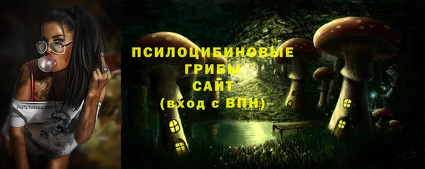 скорость Новозыбков