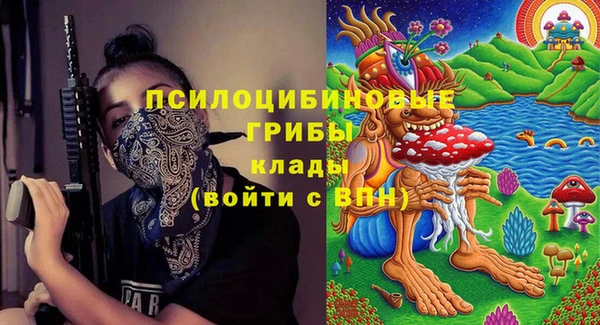скорость Новозыбков