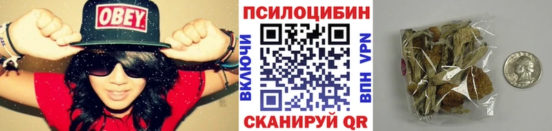 Купить  Ковдор  Псилоцибиновые грибы MAGIC MUSHROOMS 
